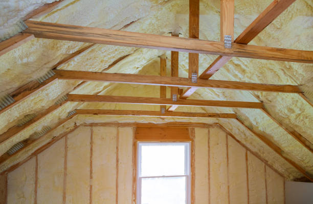 Best Commercial Insulation in Newport, SC