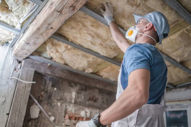Best Insulation for Specific Applications in Newport, SC