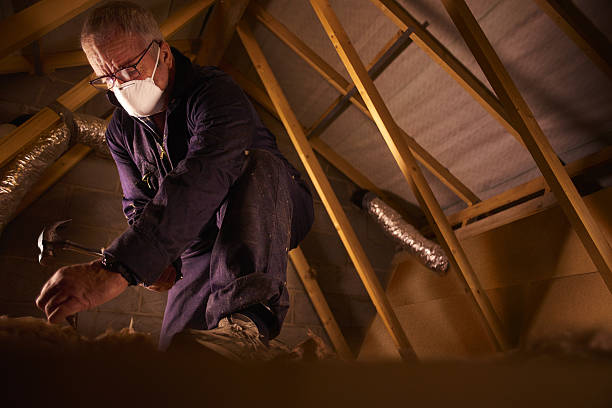 Best Specialty Insulation in Newport, SC